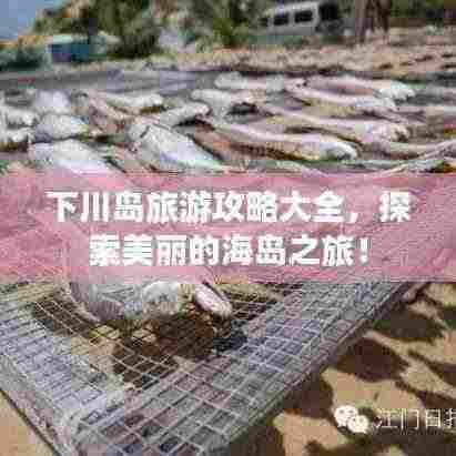 下川岛旅游攻略大全,探索美丽的海岛之旅!