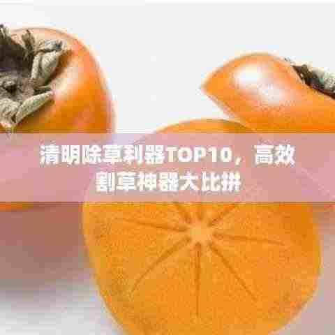 清明除草利器TOP10,高效割草神器大比拼