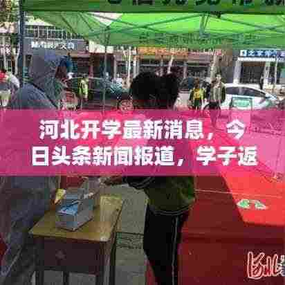 河北开学最新消息，今日头条新闻报道，学子返校动态揭晓！
