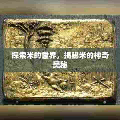 探索米的世界,揭秘米的神奇奥秘