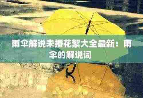 雨伞解说未播花絮大全最新:雨伞的解说词