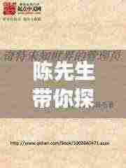 陈先生带你探索未知世界的旅游攻略秘籍！