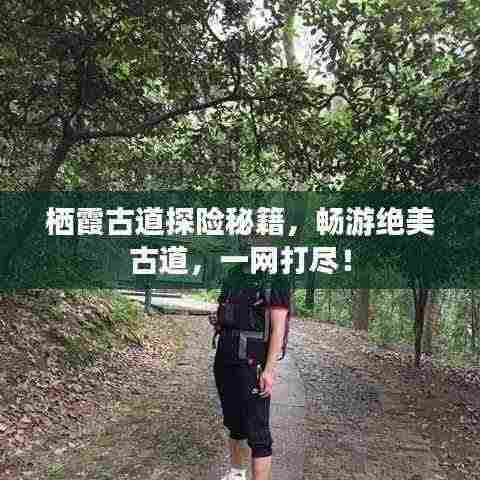 栖霞古道探险秘籍,畅游绝美古道,一网打尽!