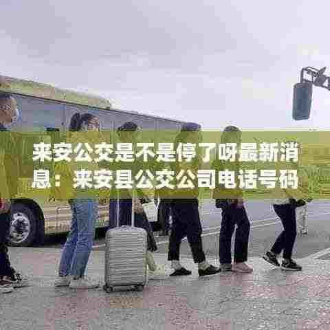 来安公交是不是停了呀最新消息:来安县公交公司电话号码