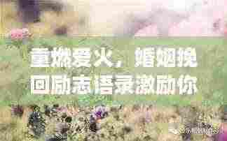 重燃爱火,婚姻挽回励志语录激励你再次拥抱幸福