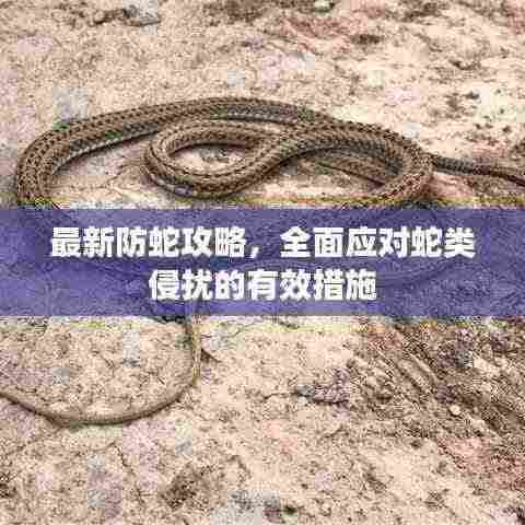 张狂妄行 第4页