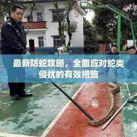 最新防蛇攻略,全面应对蛇类侵扰的有效措施