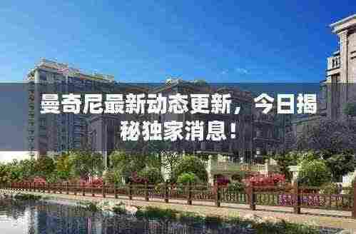 曼奇尼最新动态更新，今日揭秘独家消息！