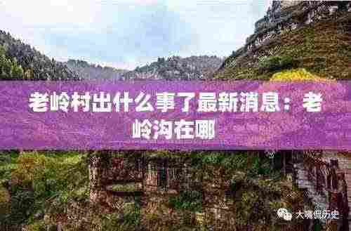 老岭村出什么事了最新消息:老岭沟在哪