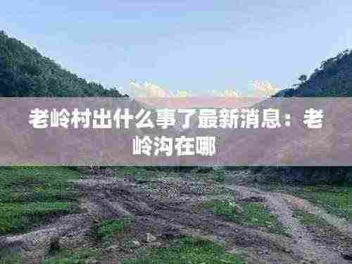 老岭村出什么事了最新消息:老岭沟在哪