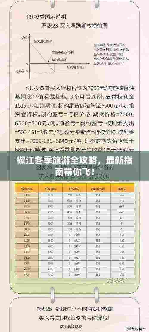 椒江冬季旅游全攻略,最新指南带你飞!