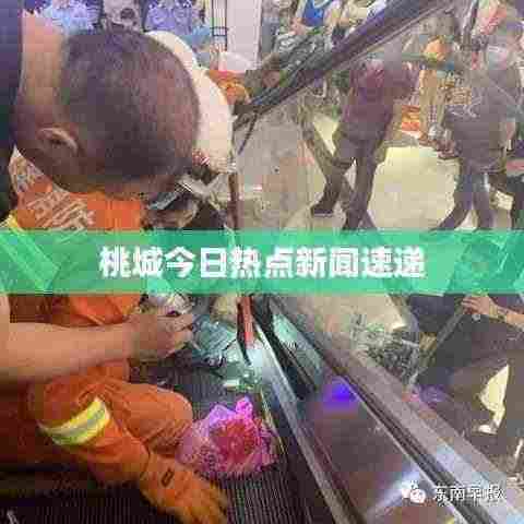 桃城今日热点新闻速递