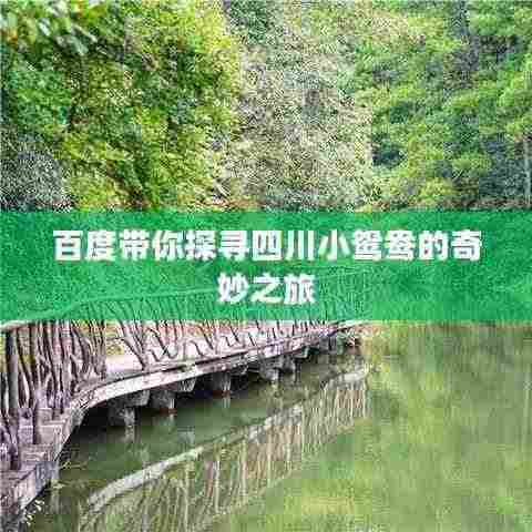 百度带你探寻四川小鸳鸯的奇妙之旅