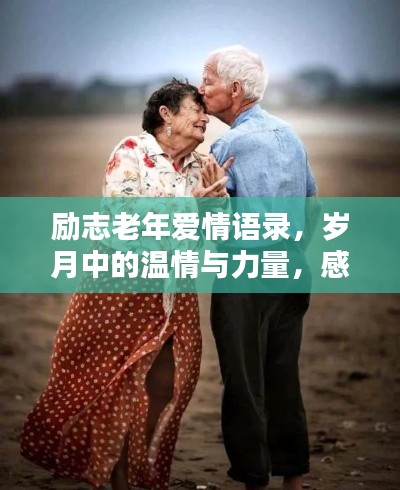 励志老年爱情语录,岁月中的温情与力量,感人至深的话语触动心灵。