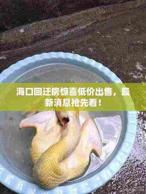 海口回迁房惊喜低价出售,最新消息抢先看!