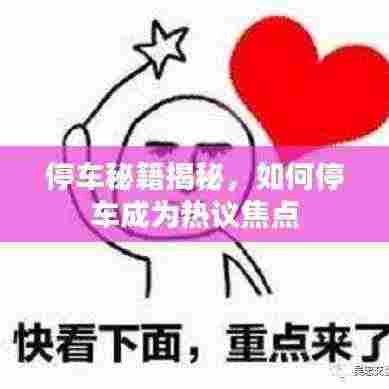 停车秘籍揭秘，如何停车成为热议焦点