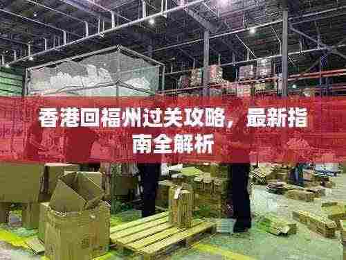 香港回福州过关攻略,最新指南全解析
