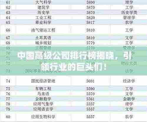 中国高级公司排行榜揭晓,引领行业的巨头们!