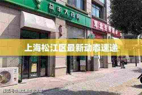 上海松江区最新动态速递