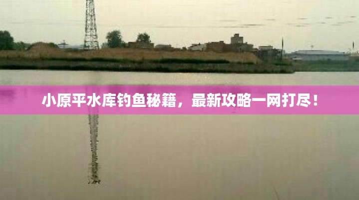 小原平水库钓鱼秘籍,最新攻略一网打尽!