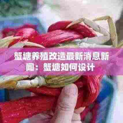 蟹塘养殖改造最新消息新闻:蟹塘如何设计