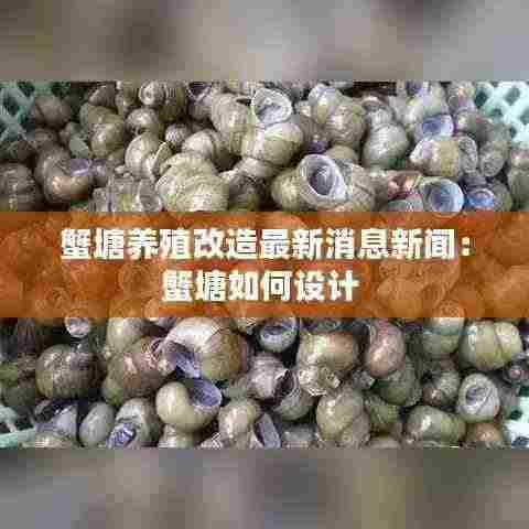 蟹塘养殖改造最新消息新闻:蟹塘如何设计