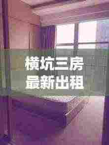 横坑三房最新出租信息,优质房源一览无余