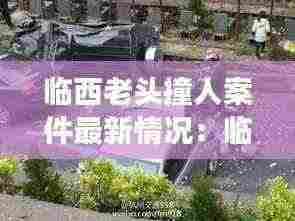 临西老头撞人案件最新情况:临西县车祸致四个人全部死亡