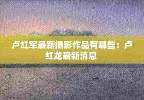 卢红军最新摄影作品有哪些:卢红龙最新消息