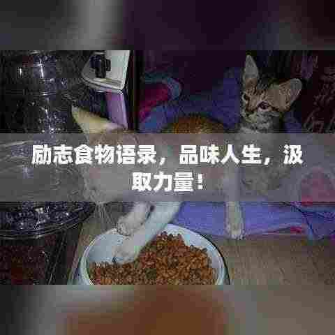 励志食物语录,品味人生,汲取力量!