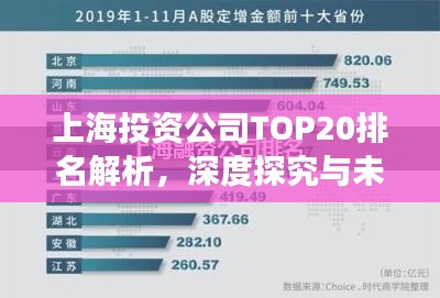 上海投资公司TOP20排名解析,深度探究与未来趋势展望