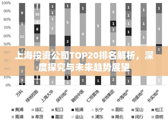 上海投资公司TOP20排名解析,深度探究与未来趋势展望