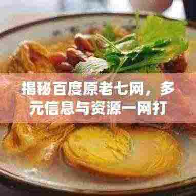 揭秘百度原老七网,多元信息与资源一网打尽!