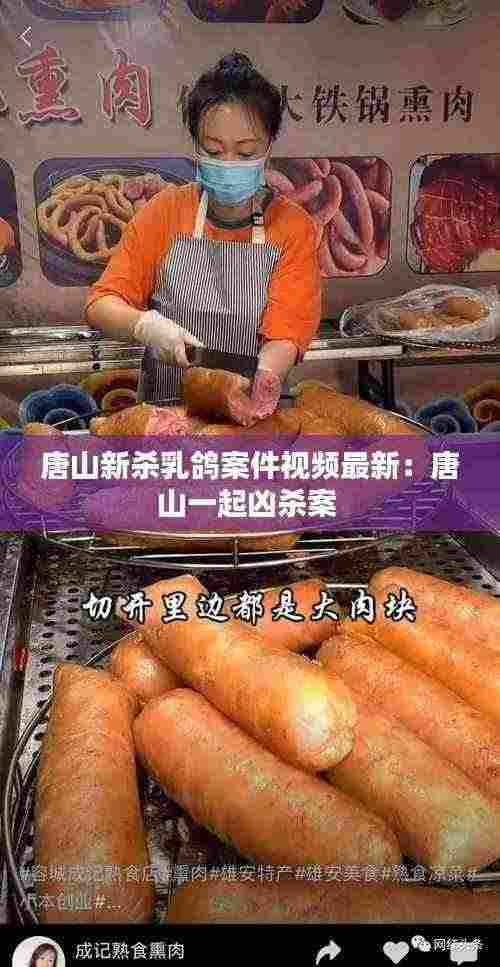 唐山新杀乳鸽案件视频最新:唐山一起凶杀案