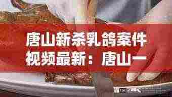 唐山新杀乳鸽案件视频最新:唐山一起凶杀案