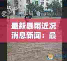 最新暴雨近况消息新闻：最近的暴雨新闻 
