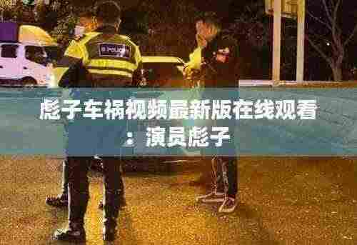 彪子车祸视频最新版在线观看:演员彪子