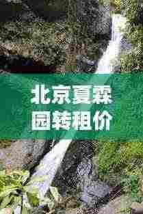 北京夏霖园转租价格表最新:夏霖农家乐哪家口碑好