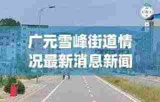 广元雪峰街道情况最新消息新闻：广元市雪峰街道办事处 