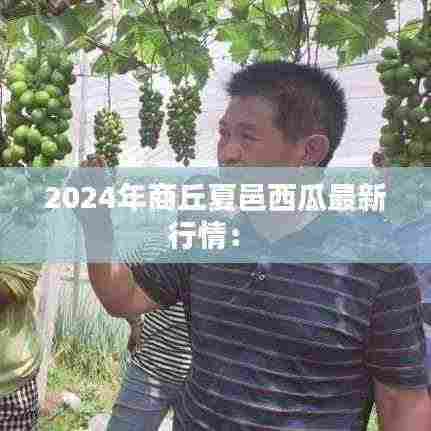 2024年商丘夏邑西瓜最新行情: