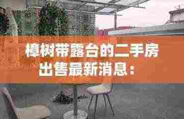 樟树带露台的二手房出售最新消息:
