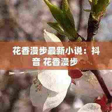 花香漫步最新小说:抖音 花香漫步