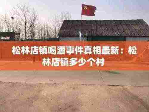 松林店镇喝酒事件真相最新:松林店镇多少个村