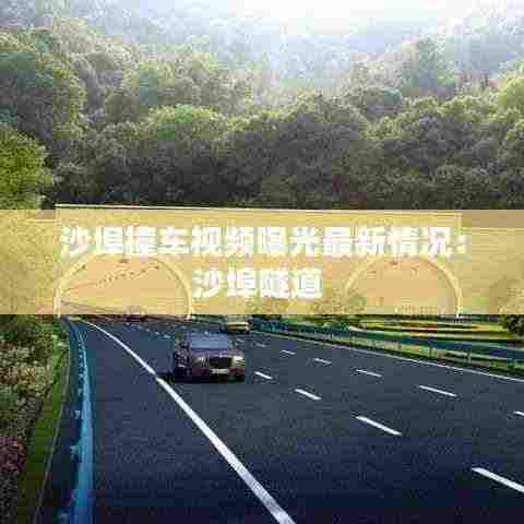 沙埠撞车视频曝光最新情况:沙埠隧道