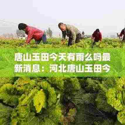 唐山玉田今天有雨么吗最新消息：河北唐山玉田今日天气 