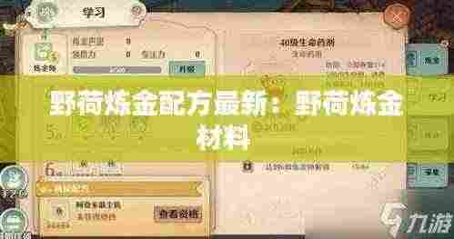 野荷炼金配方最新:野荷炼金材料