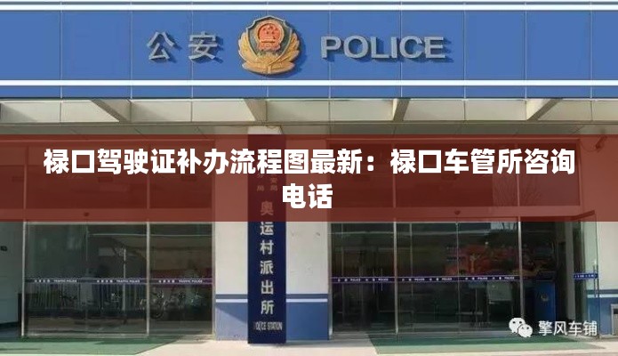 禄口驾驶证补办流程图最新:禄口车管所咨询电话
