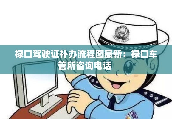 禄口驾驶证补办流程图最新:禄口车管所咨询电话