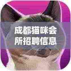 成都猫咪会所招聘信息最新:成都比较有名的猫舍