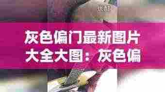 灰色偏门最新图片大全大图:灰色偏门暴利生意